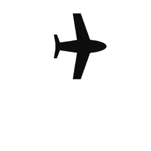 Permitted on Flights