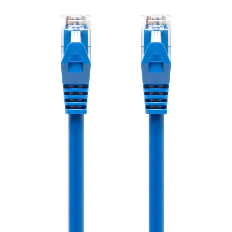 Blue CAT6 Network Cable